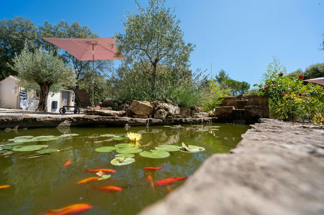 Mas La Cheneraie Lourmarin - Au Calme, A 10 Mn Du Centre Ville A Pied Екстер'єр фото